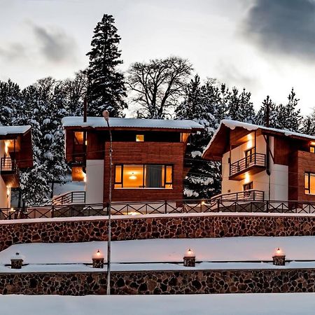 Crystal Hill Resort Bakuriani Bagian luar foto